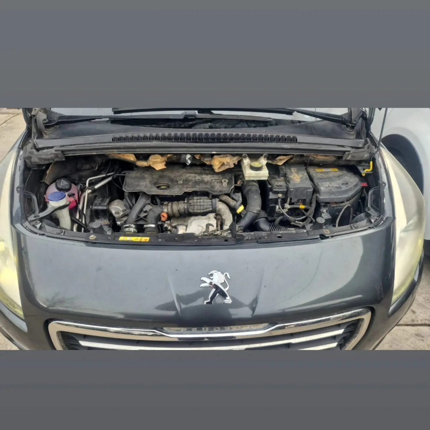 Peugeot sa otvorenom haubom