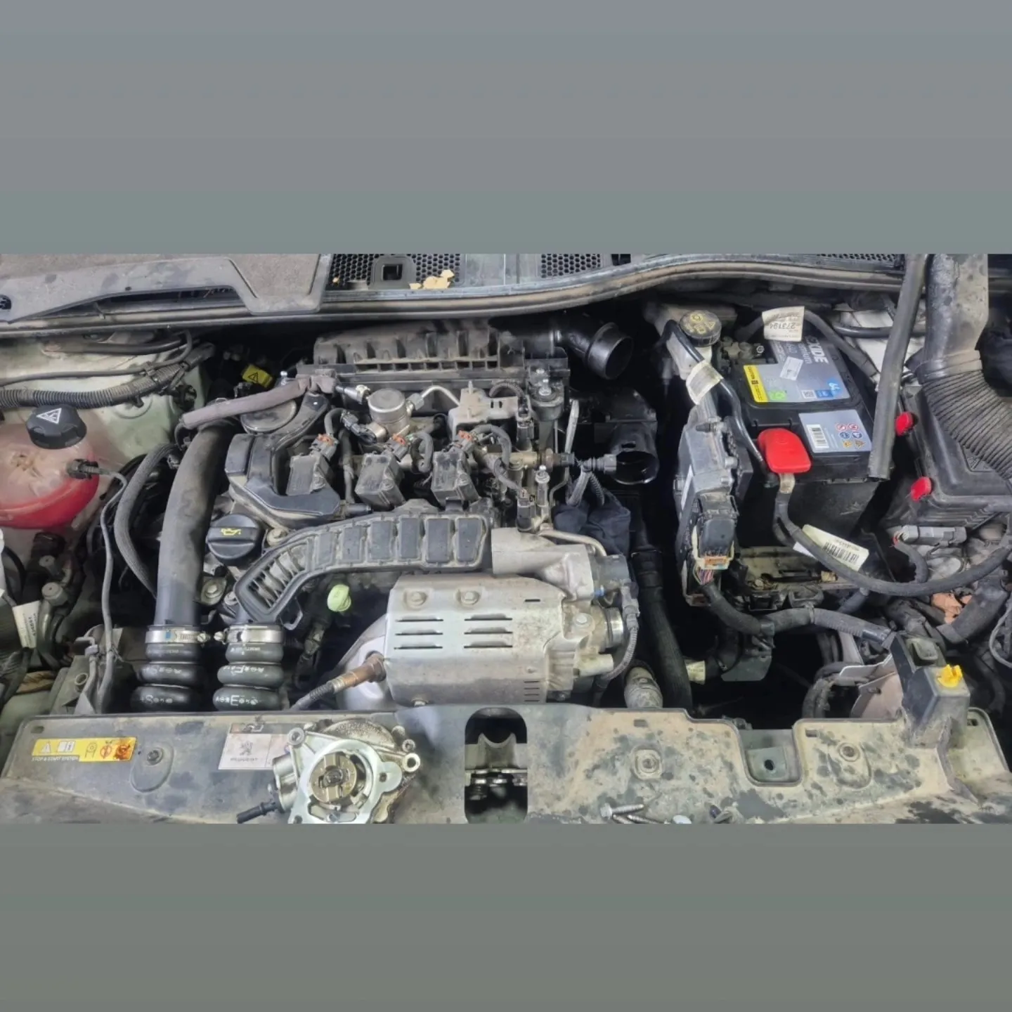 Benzinski motor iz blizine